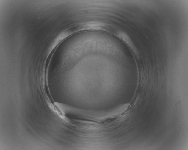 X0000080660994200612151126