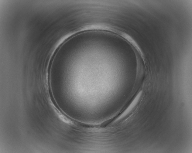X0000080660996200612151126