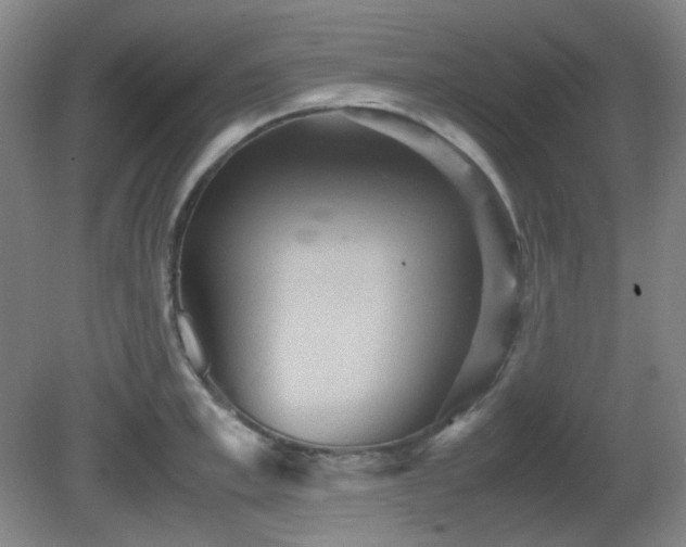 X0000080660997200612151126