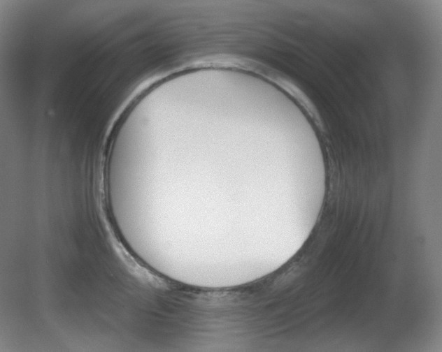 X0000080661000200612151126