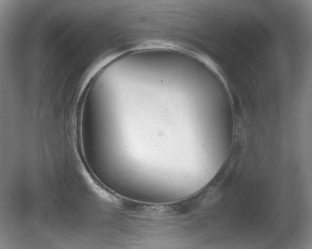 X0000080661003200612151126
