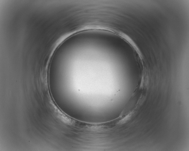 X0000080661004200612151126