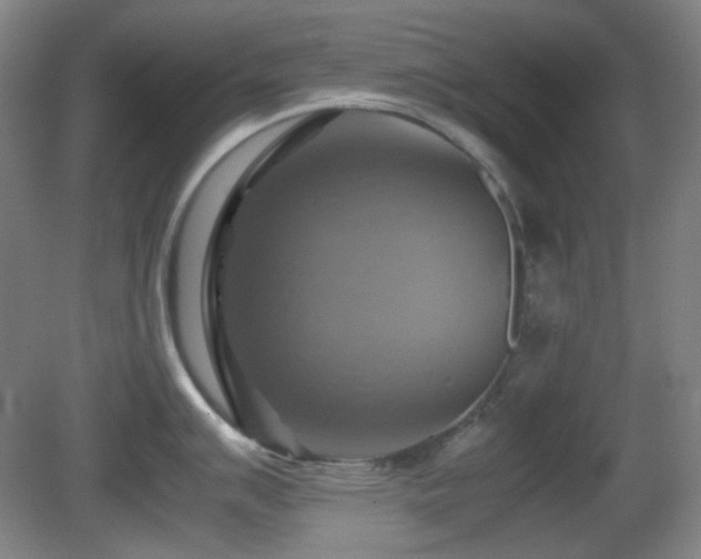 X0000080661007200612151126