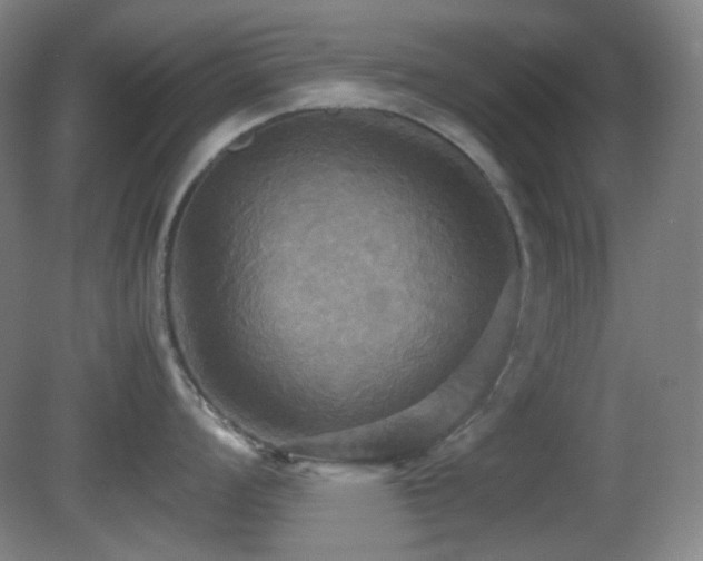 X0000080661008200612151126