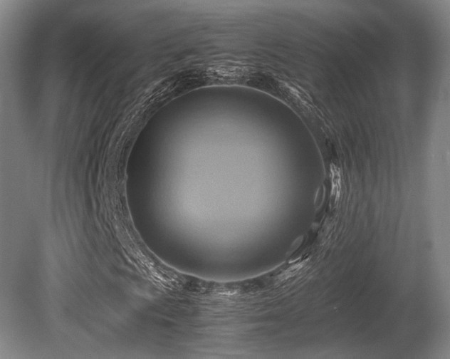 X0000080661009200612151125