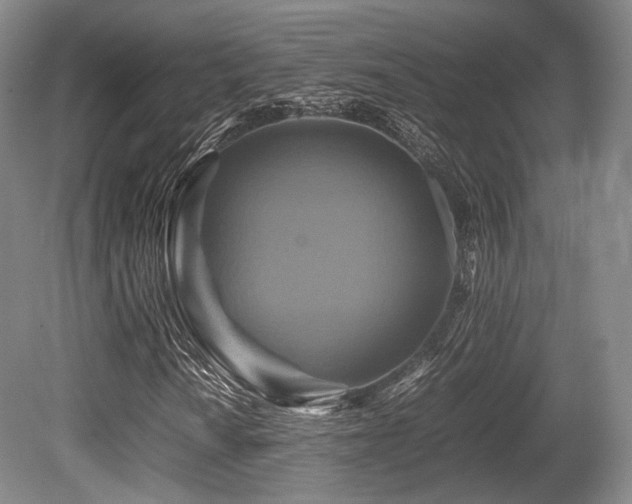X0000080661010200612151125