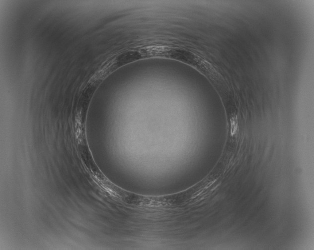 X0000080661011200612151125
