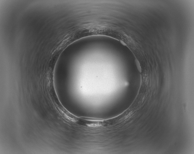 X0000080661012200612151125