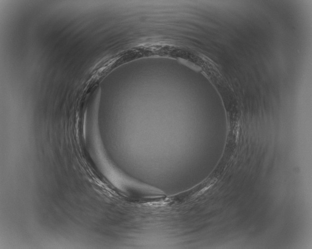X0000080661014200612151125