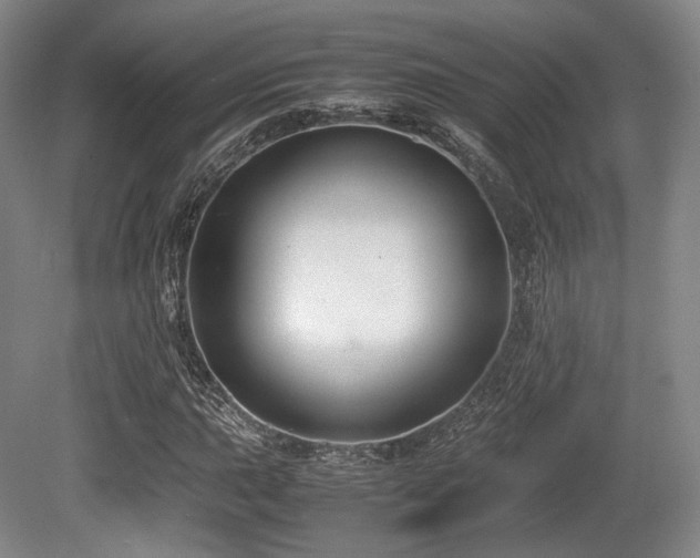 X0000080661015200612151125