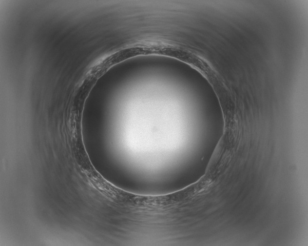 X0000080661016200612151125