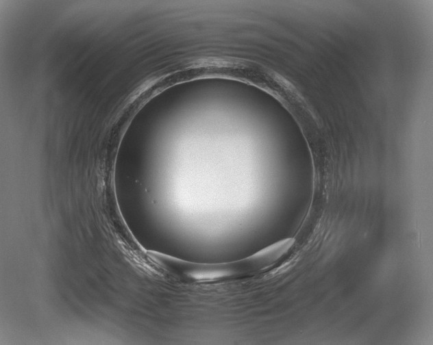 X0000080661017200612151125