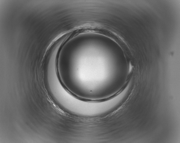 X0000080661018200612151125
