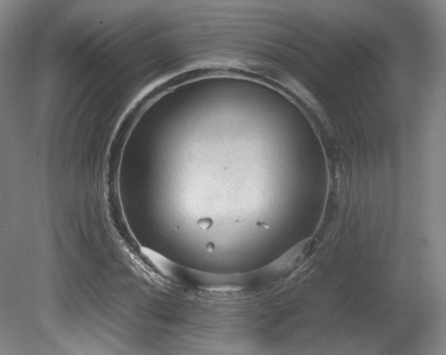 X0000080661020200612151125