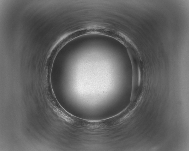 X0000080661021200612151125