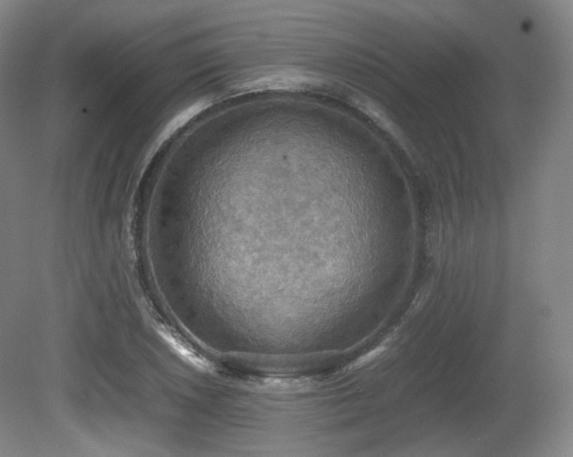 X0000080661026200612151126
