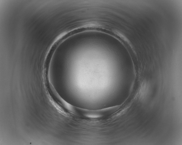 X0000080661029200612151126