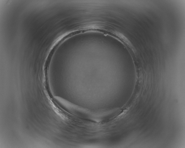 X0000080661031200612151126
