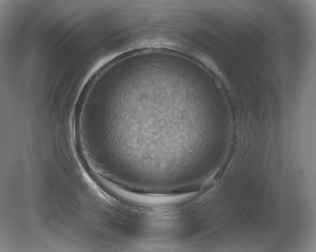 X0000080661032200612151126