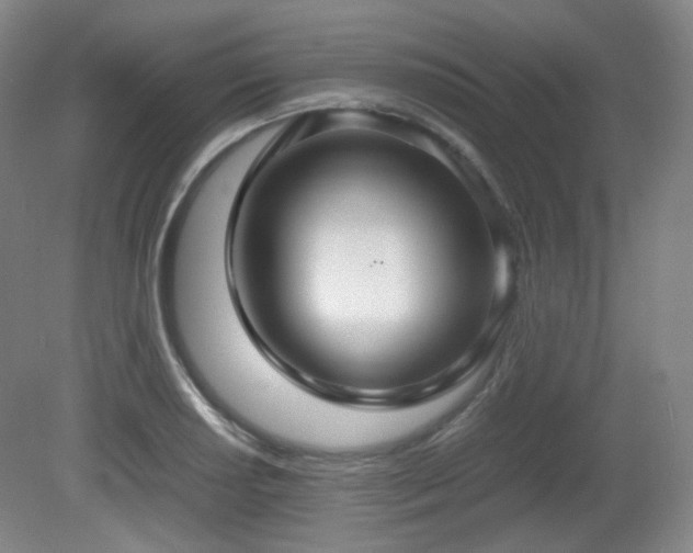 X0000080661034200612151126
