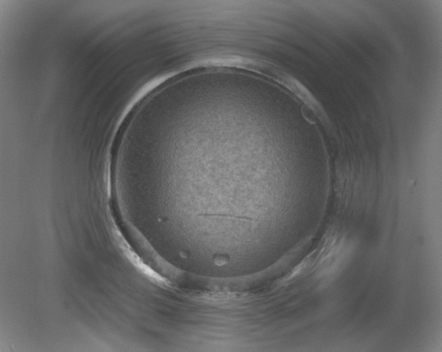 X0000080661036200612151126