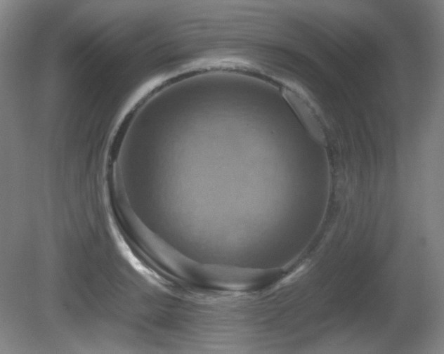 X0000080661038200612151126