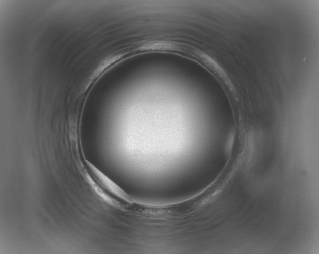 X0000080661041200612151126
