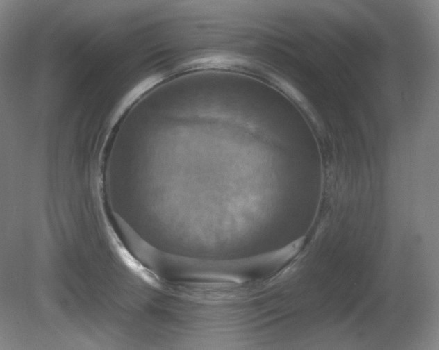 X0000080661042200612151126