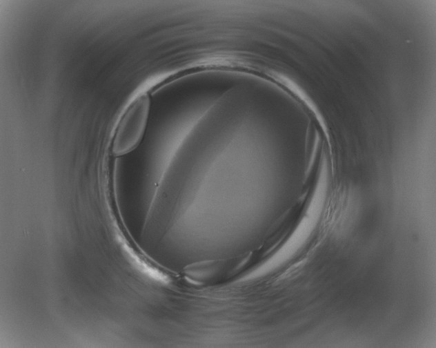 X0000080661045200612151126
