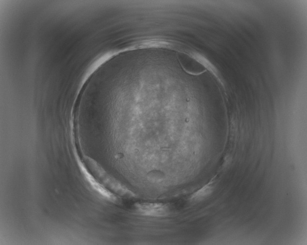 X0000080661047200612151126