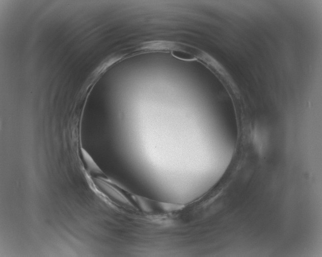 X0000080661049200612151126