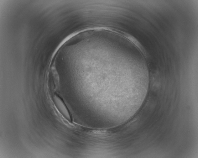 X0000080661052200612151126