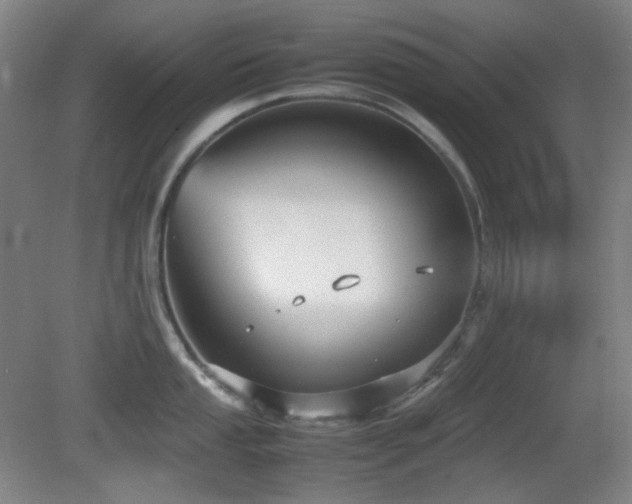 X0000080661053200612151126