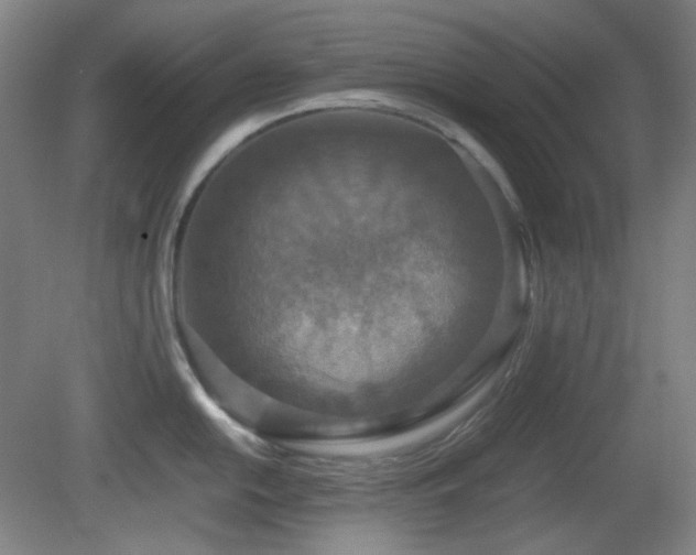 X0000080661054200612151126