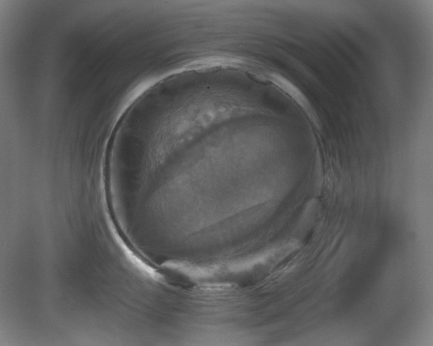 X0000080661055200612151126