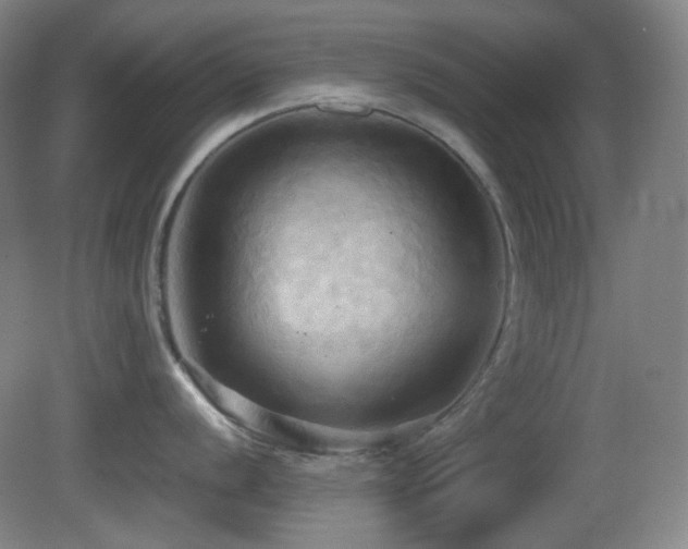 X0000080661056200612151126