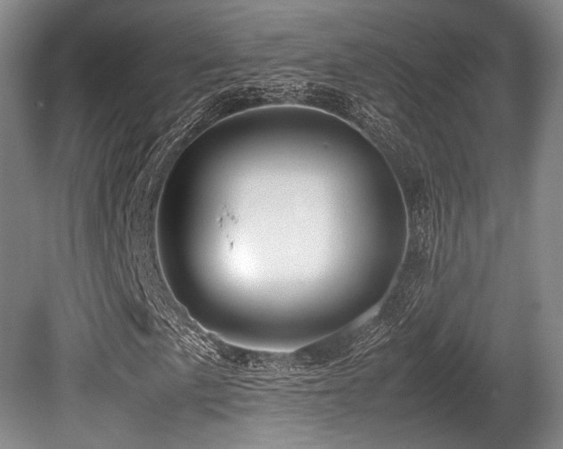 X0000080661057200612151125