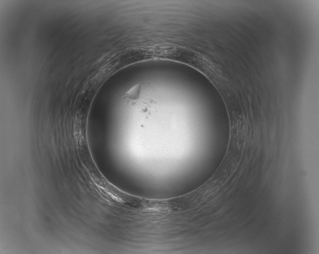 X0000080661058200612151125