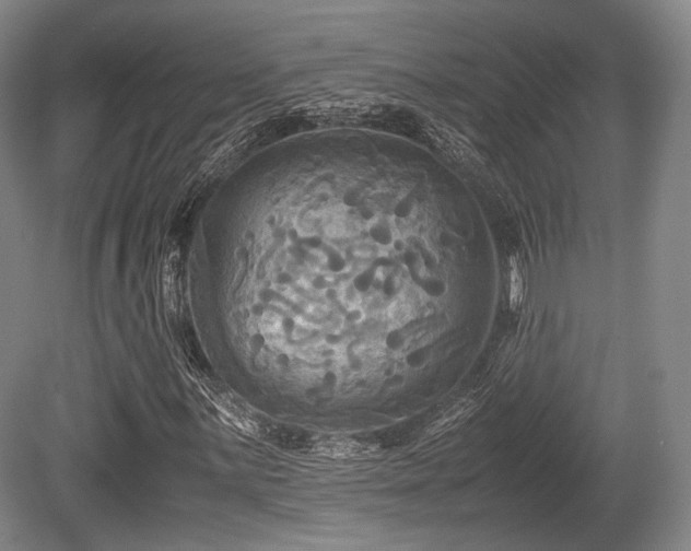 X0000080661059200612151125