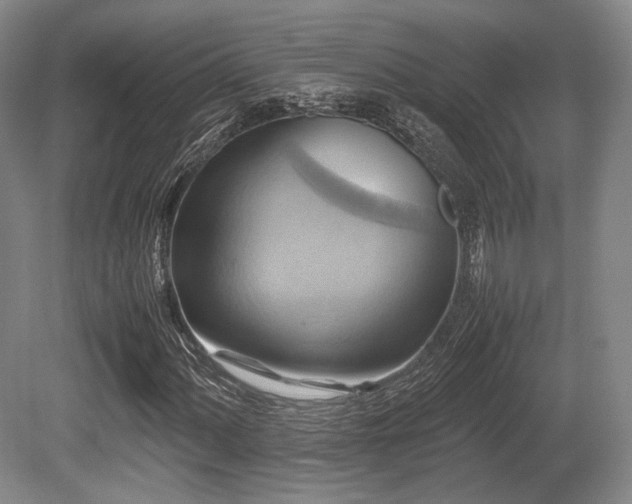 X0000080661060200612151125