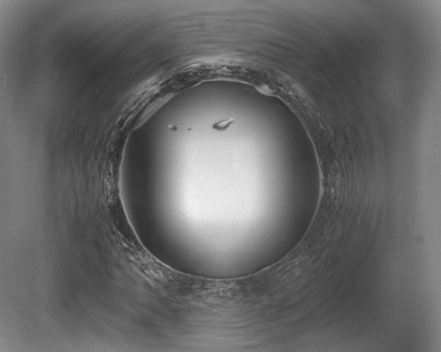 X0000080661062200612151125