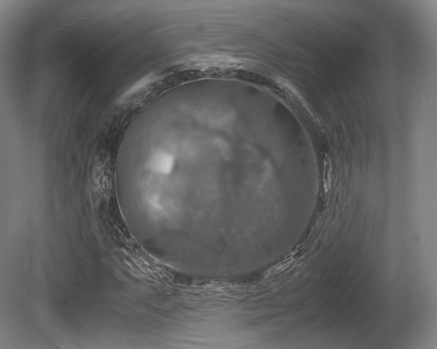 X0000080661063200612151125