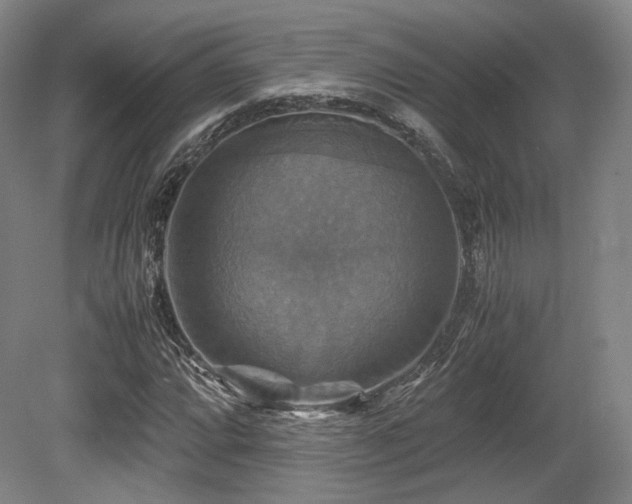 X0000080661064200612151125