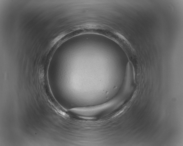 X0000080661065200612151125