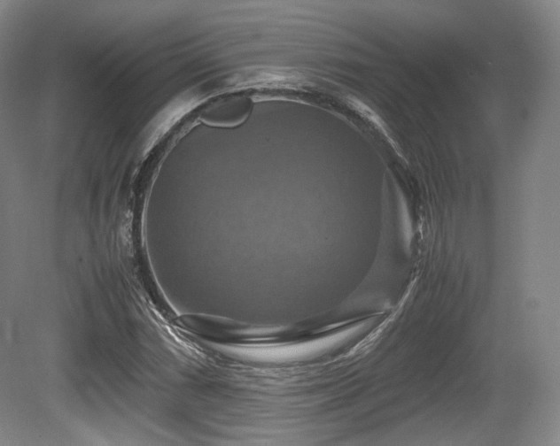 X0000080661066200612151125