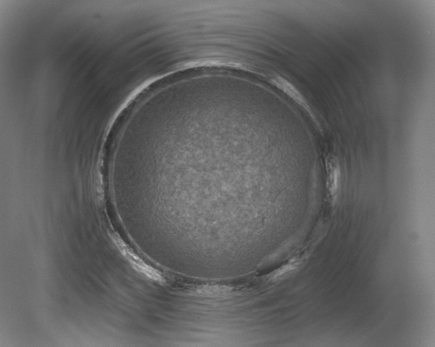 X0000080661068200612151125