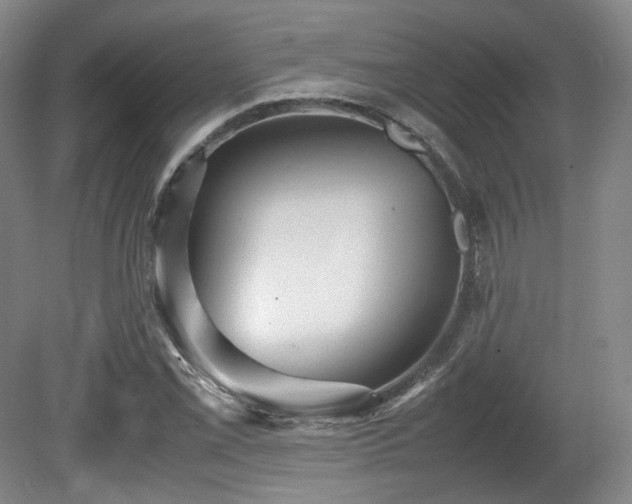 X0000080661069200612151125