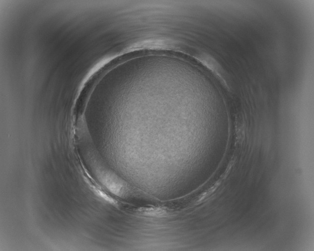 X0000080661070200612151125