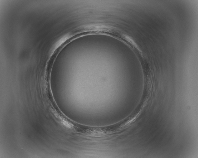 X0000080661071200612151125