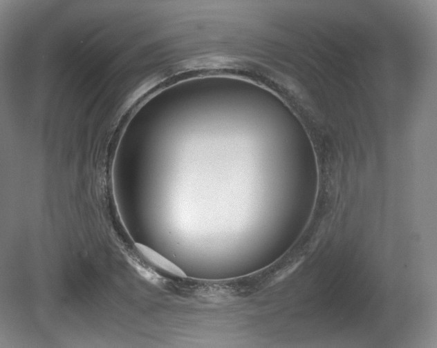 X0000080661073200612151125